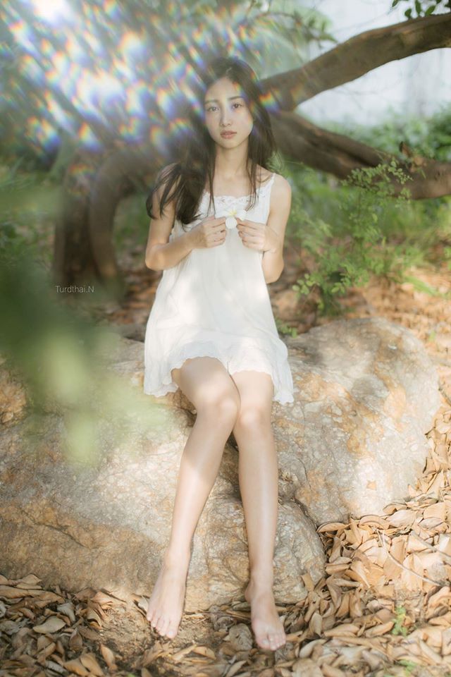 揉胸网站